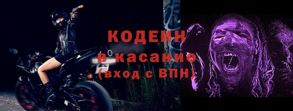 прущие грибы Балахна