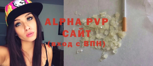 индика Баксан