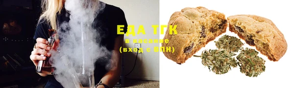 индика Баксан