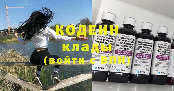 прущие грибы Балахна