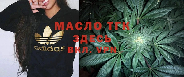 индика Баксан