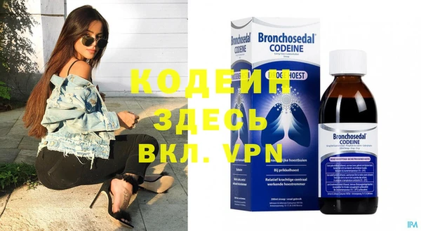 индика Баксан