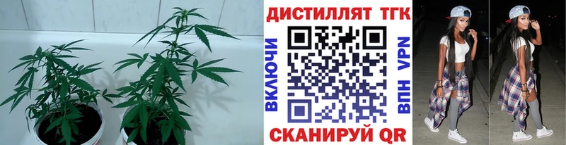 ТГК вейп  как найти закладки  даркнет формула  Ахтырский  mega ССЫЛКА 