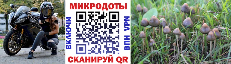 Галлюциногенные грибы ЛСД  Ахтырский 